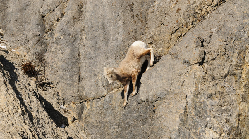 Objectif destination : retour d’expérience …